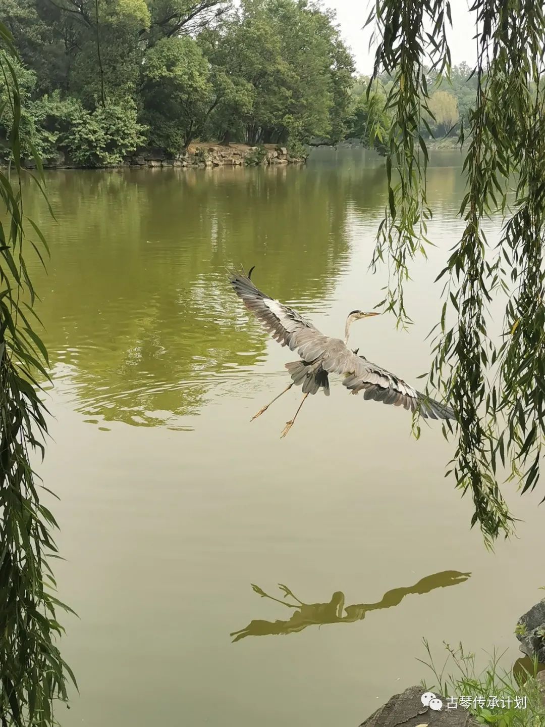 招募令 | 北京大學(xué)昆曲、古琴課程學(xué)生助理&志愿者招募啦！