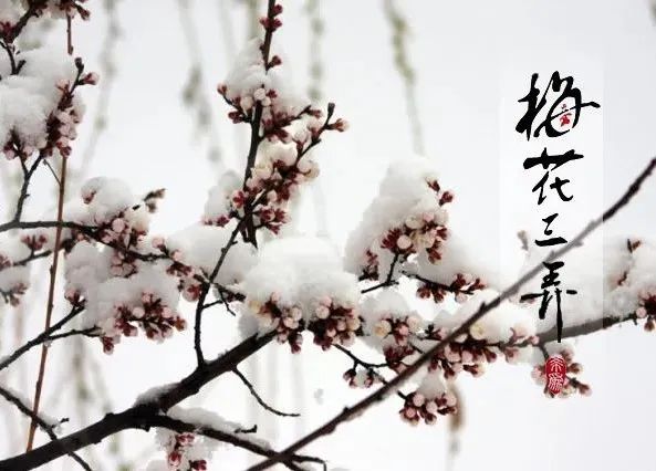 十大古琴曲 | 《梅花三弄》鑒賞