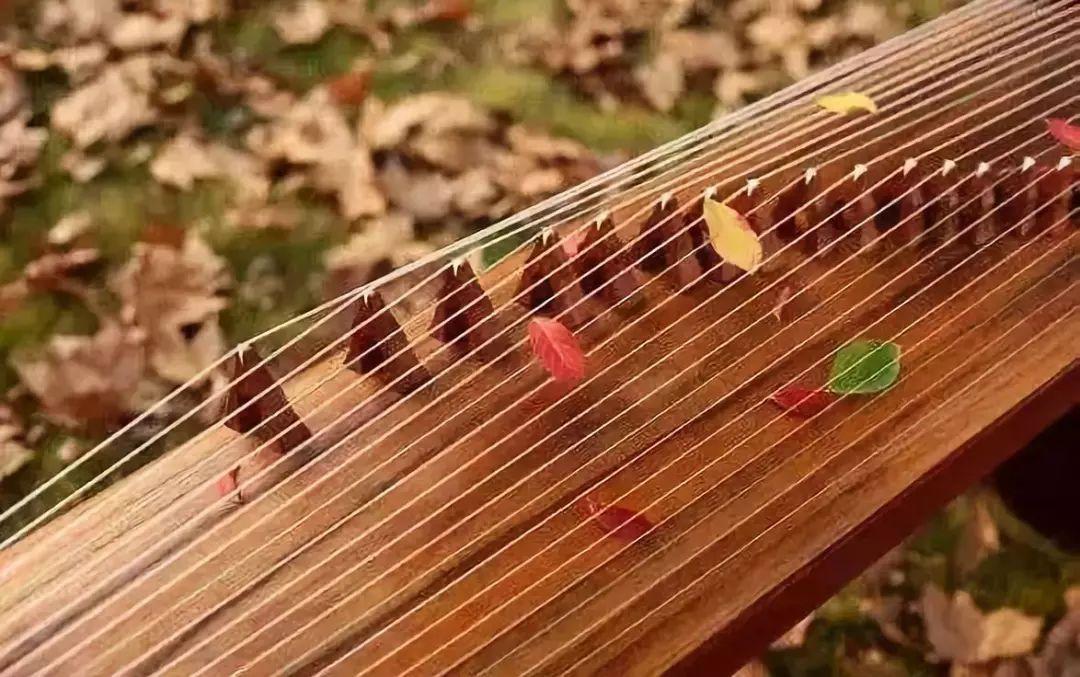 學習古箏好嗎_古箏到底好不好學_古箏很容易學