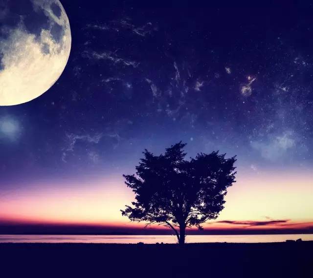 古琴曲首作品以下屬于曲調的是_屬于古琴曲的是_以下哪首作品不屬于古琴曲?