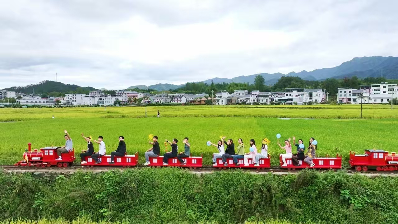 大美竹溪丨刷爆朋友圈的新晉網紅小火車，穿梭稻海風光，速來打卡！