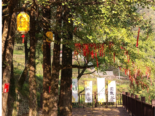 大美竹溪丨紅葉疊金，秋瀑含情！竹溪營盤山藏著最舒服的秋