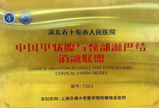 術后立即治愈！十堰人醫甲乳外科2病區微波消融術治愈尿毒癥繼發性甲旁亢患者