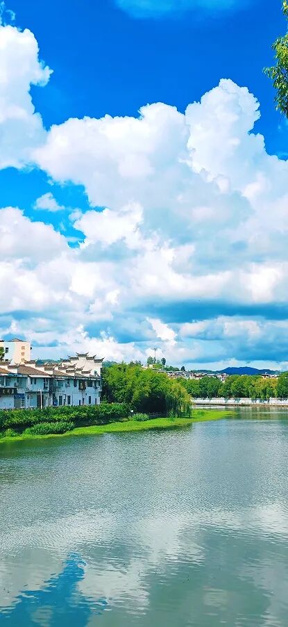 1759828856495033.jpg 4.jpg