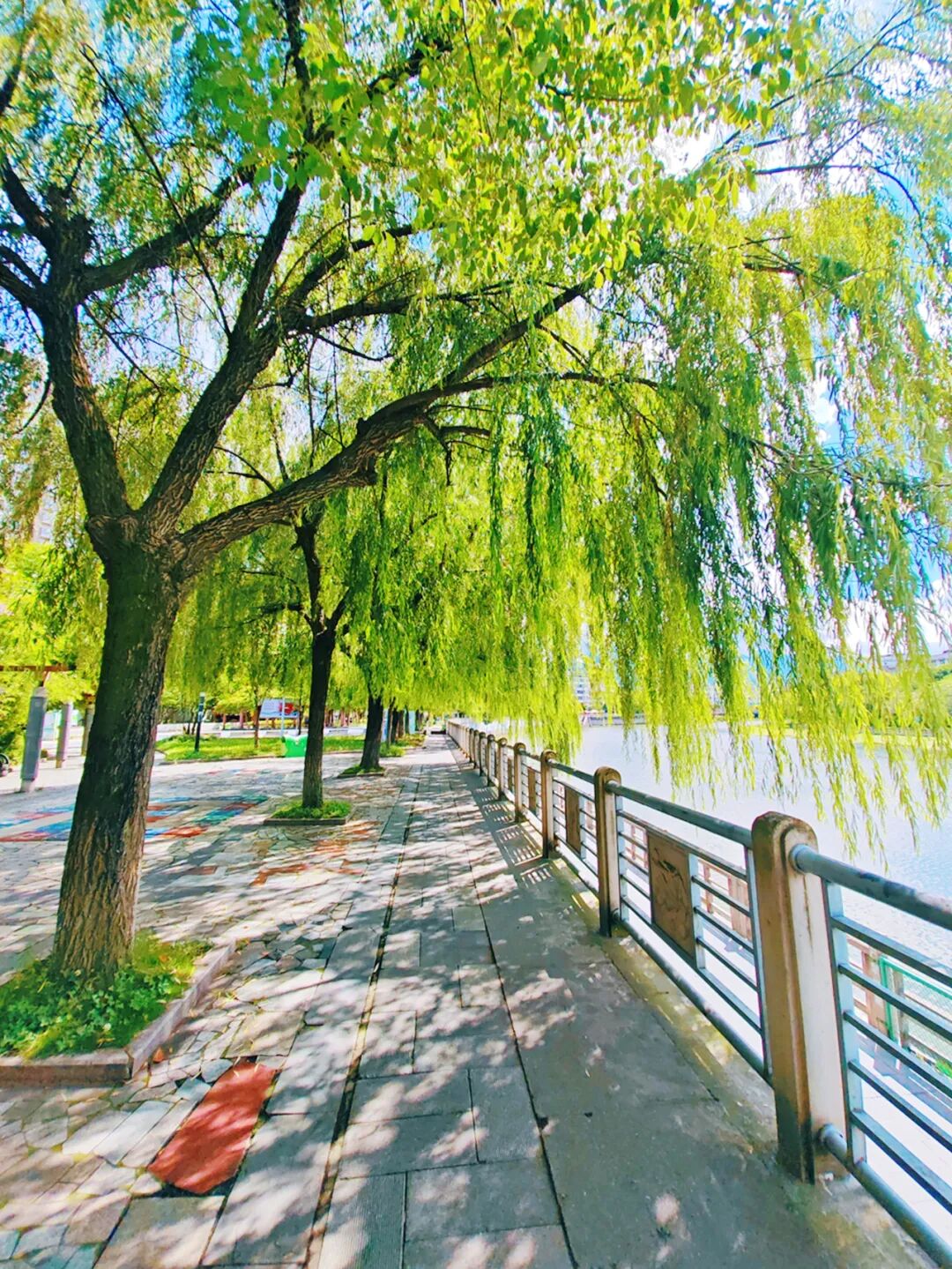 1759828878494488.jpg 5.jpg