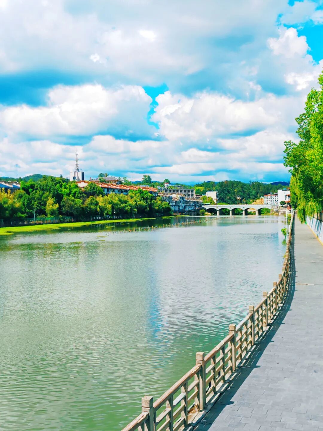 1759828932737826.jpg 8.jpg